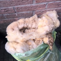 5 kilo verse schapenwol 