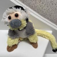 Schattig aapje van de Apenheul. Hoogte ca.15 cm. 