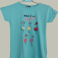 Glo-Story t-shirt flamingo's turquoise 122