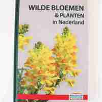 Wilde bloemen en planten in Nederland  Zonder en geurkaarten