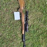 Daystate huntsman classic .22
