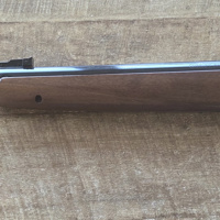 Webley patriot 5.5mm