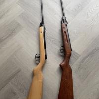 Diana 22 en Slavia 618