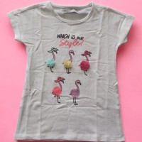 Glo-Story t-shirt flamingo's wit 104