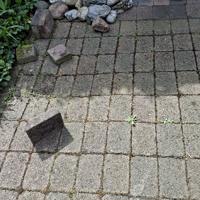 Terrastegels diversen 40 m2