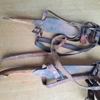 friese doorloper schaatsen