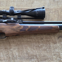 Evanix rainstorm. 22 pcp luchtgeweer 