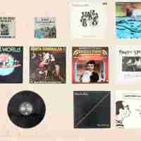 9x Lp en 2x single van DR. Hook tot Third World