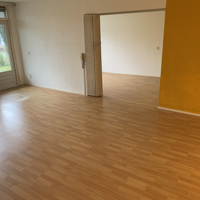 Laminaatvloer beuken 60 m2 plus een nieuw pak en plinten