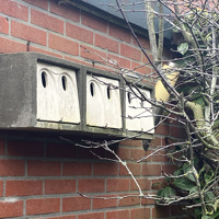 Drie mussenkasten van woodstone materiaal