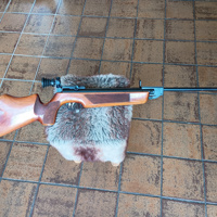 Weihrauch HW55T Tiroler kolf