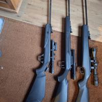 Diana model 21 panther, model 31 panther en model 38