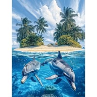nr 4 Diamond Painting eiland dolfijnen 50x40cm (vierkant)