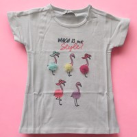 Glo-Story t-shirt flamingo's wit 98