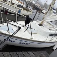 Te koop leuk kajuit zeilbootje 