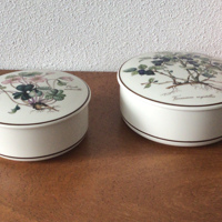Villeroy & Boch. Botanica