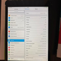 iPad mini 2013