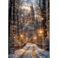 nr 55 Diamond Painting winter kasteel 50x40cm (vierkant)