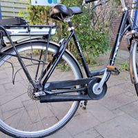 Elektrische Fiets, Multicycle
