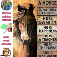 50x40cm Diamond Painting paard met tekst (rond) nr 2010 