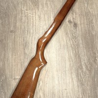 Ruger 10/22 kolf .22LR