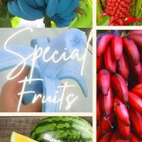 Special Fruits (photo ebook)
