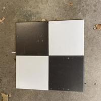 Tegels Sphinx 20x20 zwart en wit