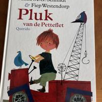 Pluk van de Petteflet Annie M.G. Schmidt