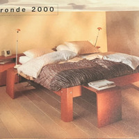2-persoons electrische verstelbaar auping bed