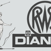 Gezocht Diana 24 - 26 - 28 
