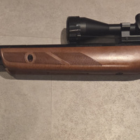 Gamo hunter extreme 1250
