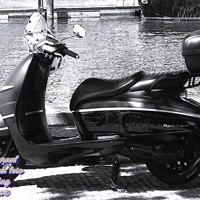 te koop peugeot jango