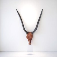 dierenkop bruin grijs 80x45x31cm