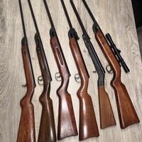 Zes Diana luchtbuksen