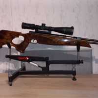 Hw77 met custom stock te koop