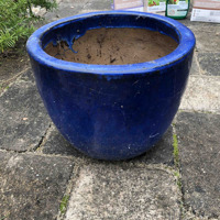 Een grote blauwe terracotta plantenpot