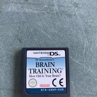 nintendo DS Brain Training