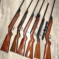 Zes Diana luchtbuksen