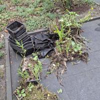 Pomp, bakken voor en met waterplanten