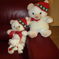 Knuffelberen lekker Zacht