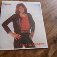 Sticker Leif Garett ( Joepie)