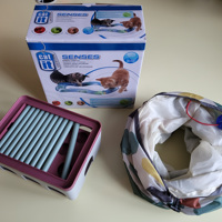 kattenspeelgoed voor kittens