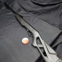 GAMO WHISPER X Gasram (4,5mm) 24 Joule Z.G.A.N  