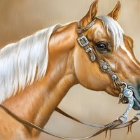 nr 101 Diamond Painting paard 50x40cm (rond)
