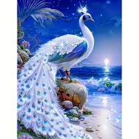 nr 40 Diamond Painting pauw strand 50x40cm (vierkant)