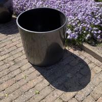 Verschillende bloempotten 