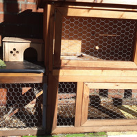 Cavia/konijnen hok incl toebehoren 
