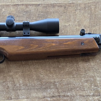 Weihrauch hw80 met hawke richtkijker 