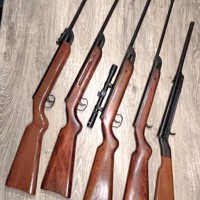 Vijf Diana luchtbuksen