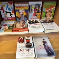 Chicklits : Goldsmith Keyes Kinsella Shreve Kelly Giffin